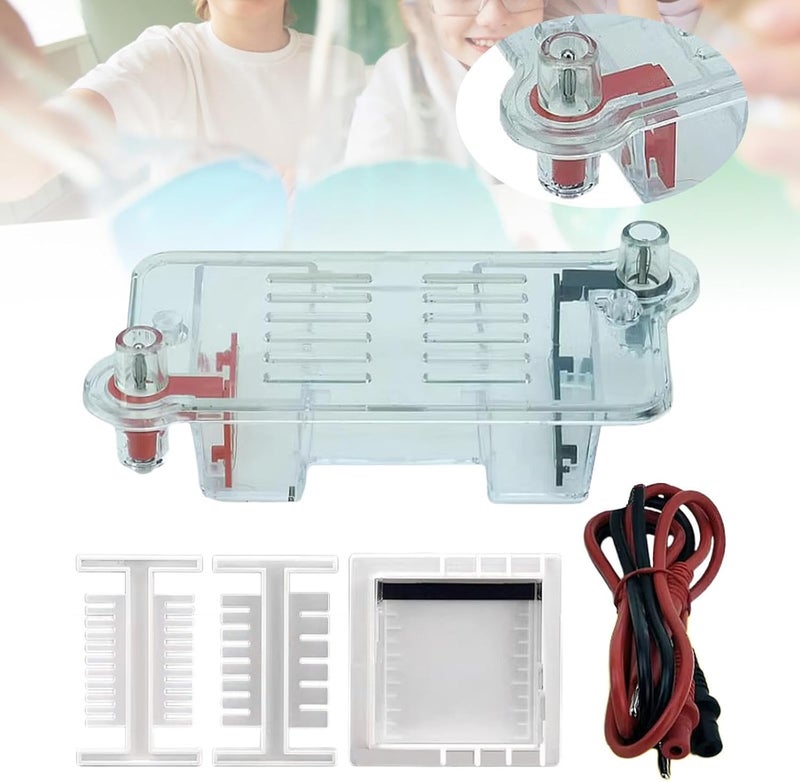 Luwecf Electrophoresis Apparatus Tank Teaching Equipment,Biology Experimental Equipment Learning for High School - Image 3